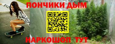 индика Обь